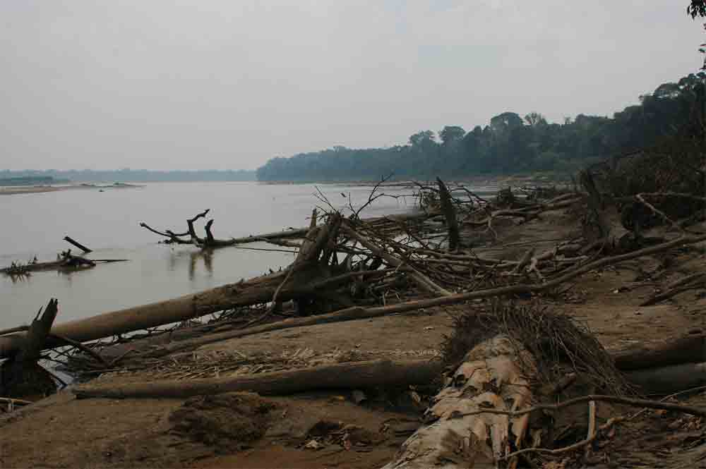 191 - Peru - Puerto Maldonado, rio Madre de Dios